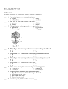 biology plant test