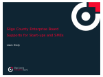 Enterprise Ireland - Local Enterprise Office
