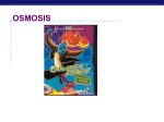 PPT - Osmosis
