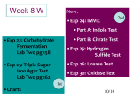 Property/Enzyme Testing For