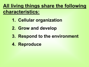 Class Notes: Characteristics of Life