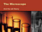 The Microscope