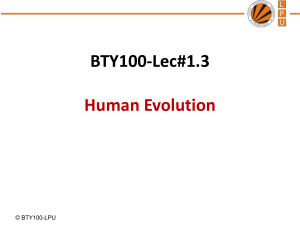 Human Evolution