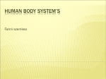human Body system`s