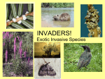 invaders!