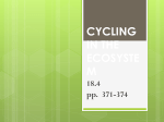 CYCLING IN THE ECOSYSTEM