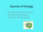 Sources of Energy