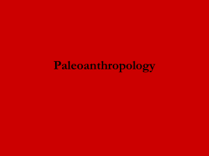 Paleoanth - HCC Learning Web