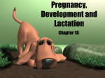 Pregnancy ch. 18 - Catherine Huff`s Site