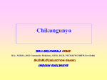 Chikungunya