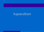 Aquaculture - Glen Rose FFA
