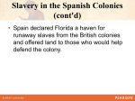 Slavery in French Louisiana (cont`d)
