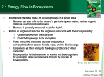 Food Chains