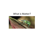 What is Matter PowerPoint