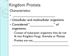 13.1 - Kingdom Protista_Student Handout