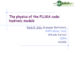 fluka-models