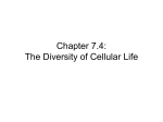Chapter 7.4: The Diversity of Cellular Life