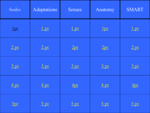 Blank Jeopardy