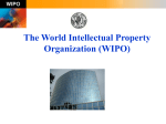 WIPO Worlwide Academy (WWA)