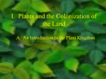 Plant Evolution and Classification Power Point File