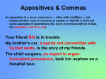 An appositive is a noun or pronoun