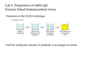 Enzyme-linked secondary antibodies