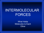 2013 intermolecular forces