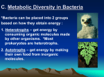 Bacteria - Part Two