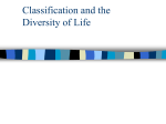 Diversity of Organisms and Classification