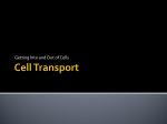 Cell Transport