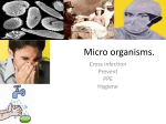 Micro organisms.