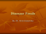 Dinosaur Fossils - Needleworks Pictures
