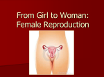 From Girl to Woman: Female Reproduction