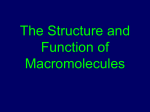 The Structure and Function of Macromolecules