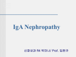 Kyung Hee University Hospital IgA Nephropathy 신장내과 R4 박미나