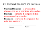Chemical Reactions and Enzymes Notes