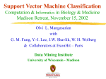 Mathematical Programming in Support Vector Machines