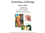 Essentials of Biology Sylvia S. Mader