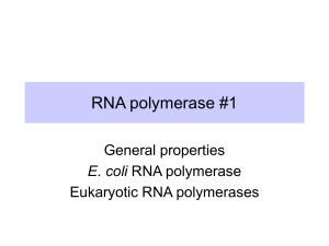 RNA polymerase