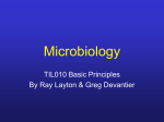 Microbiology til010.greg
