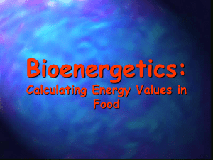 Lecture 2: Bioenergetics