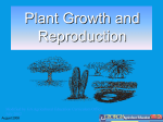 AG-GH-PS-01.461-02.3p Plant Growth and Repro-2