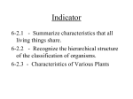 What are vascular plants?