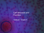 Cell Structure and Function