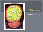 Memory Lecture/PPT