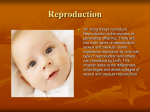 Reproduction