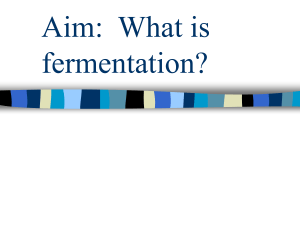 Aim: What is fermentation?