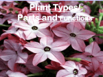 Plant Parts and Functions