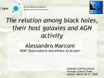 The relation among black holes, their host galaxies and AGN activity