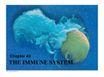 Ch. 43 Immune System 9e v2 (1)